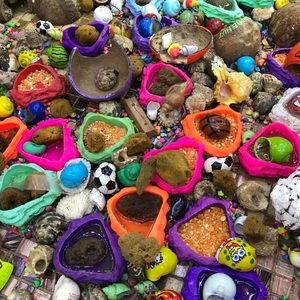 Meet your Posher, Sidney